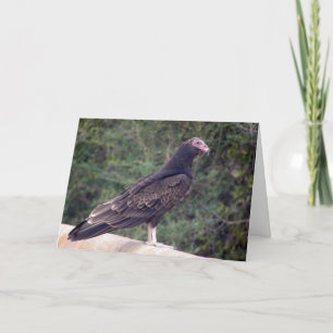 Gelukkige Verjaardag - Buzzard Kaart