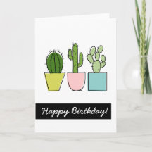 Gelukkige Verjaardag! | Cactus in Potten