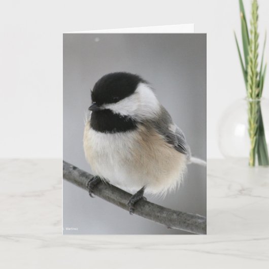 Gelukkige Verjaardag Chicky Poo! Kaart (Voorkant)