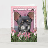 Gelukkige Verjaardag - Chihuahua - Isabella Kaart (Voorkant)