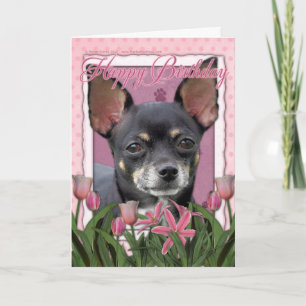 Gelukkige Verjaardag - Chihuahua - Isabella Kaart