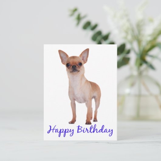 Gelukkige Verjaardag Chihuahua Puppy Blauw - Vers Briefkaart (Staand voorkant)