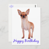 Gelukkige Verjaardag Chihuahua Puppy Blauw - Vers Briefkaart (Voorkant / Achterkant)