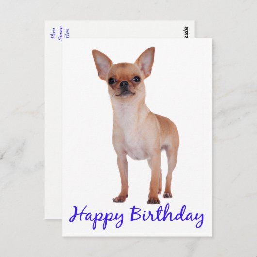 Gelukkige Verjaardag Chihuahua Puppy Blauw - Vers Briefkaart (Voorkant / Achterkant)