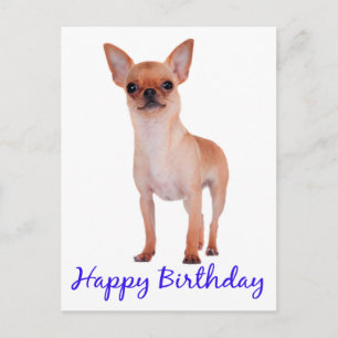 Gelukkige Verjaardag Chihuahua Puppy Blauw - Vers Briefkaart