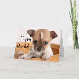Gelukkige Verjaardag Chihuahua Puppy Hond - Vers Kaart