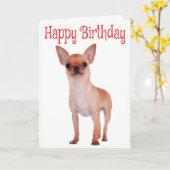 Gelukkige Verjaardag Chihuahua Puppy Rode Verzen Kaart (Gele Bloem)
