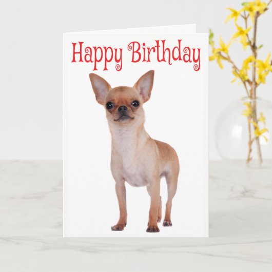 Gelukkige Verjaardag Chihuahua Puppy Rode Verzen Kaart (Gele Bloem)