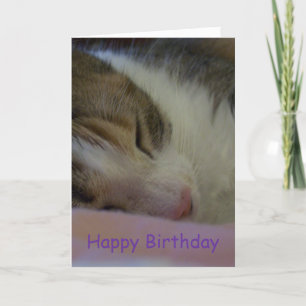 Gelukkige Verjaardag Christelijke Kaart Cat
