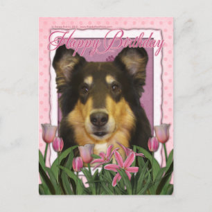 Gelukkige Verjaardag - Collie - Caroline Briefkaart