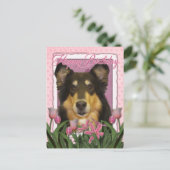Gelukkige Verjaardag - Collie - Caroline Briefkaart (Staand voorkant)
