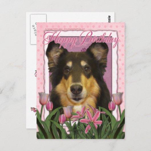 Gelukkige Verjaardag - Collie - Caroline Briefkaart (Voorkant / Achterkant)