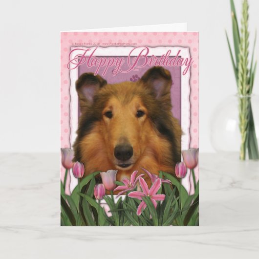 Gelukkige Verjaardag - Collie - Natalie Kaart (Voorkant)