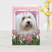 Gelukkige Verjaardag - Coton de Tulear Kaart (Gele Bloem)