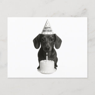 Gelukkige Verjaardag Dachshund Feestdagenkaart