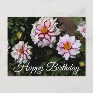 Gelukkige verjaardag Dahlia Edge of Joy #1 ansicht Briefkaart