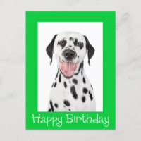 Gelukkige Verjaardag Dalmatische Puppy Dog Post Ka