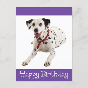 Gelukkige Verjaardag Dalmatische Puppy Dog Post Ka Briefkaart