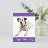 Gelukkige Verjaardag Dalmatische Puppy Dog Post Ka Briefkaart (Staand voorkant)