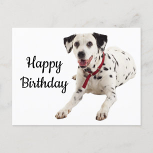 Gelukkige Verjaardag Dalmatische Puppy Hondenliefh Briefkaart