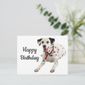 Gelukkige Verjaardag Dalmatische Puppy Hondenliefh Briefkaart (Staand voorkant)