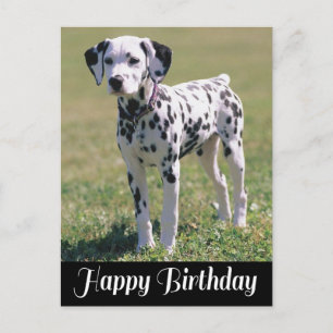 Gelukkige Verjaardag Dalmatische Puppy Hondenliefh Briefkaart