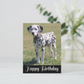 Gelukkige Verjaardag Dalmatische Puppy Hondenliefh Briefkaart (Staand voorkant)