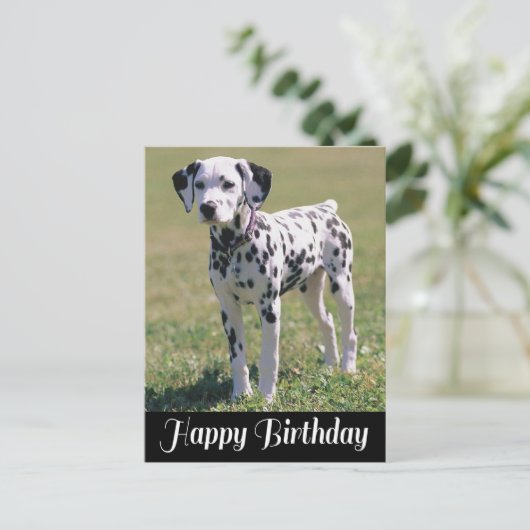 Gelukkige Verjaardag Dalmatische Puppy Hondenliefh Briefkaart (Staand voorkant)