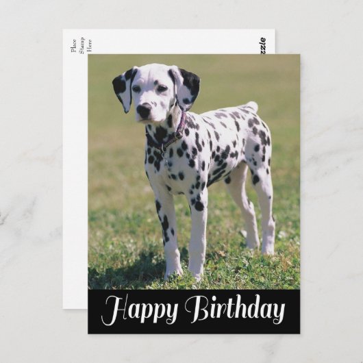 Gelukkige Verjaardag Dalmatische Puppy Hondenliefh Briefkaart (Voorkant / Achterkant)