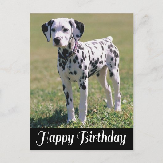 Gelukkige Verjaardag Dalmatische Puppy Hondenliefh Briefkaart (Voorkant)