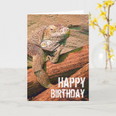 Gelukkige Verjaardag - de Luie Hagedis Chillaxing Kaart (Gele Bloem)