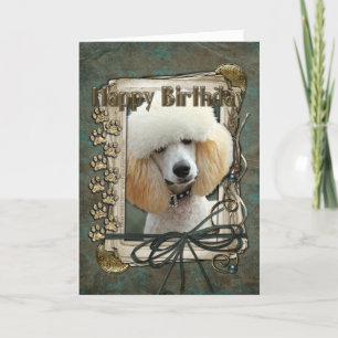 Gelukkige Verjaardag - de Poten van de Steen - Kaart