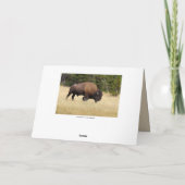 Gelukkige Verjaardag, de Stoffige Stier van de Kaart (Achterkant)