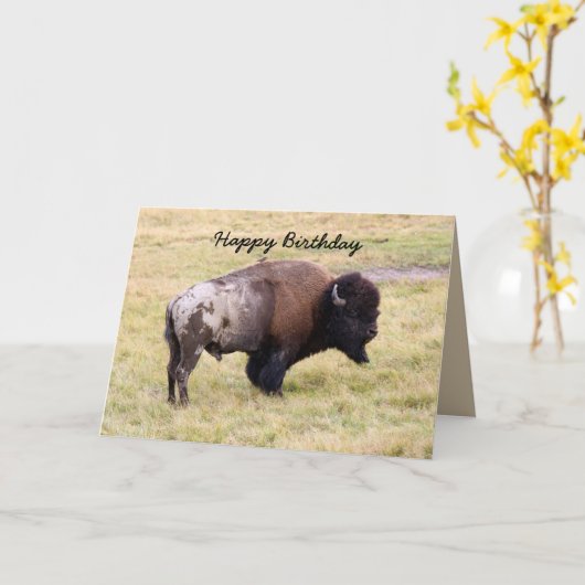 Gelukkige Verjaardag, de Stoffige Stier van de Kaart (Gele Bloem)