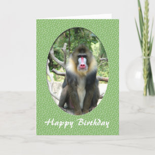 gelukkige verjaardag dierentuin dier kaart