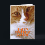 Gelukkige Verjaardag Dochter Sweet Cat Kaart<br><div class="desc">Wens je dochter een "Happy Birthday",  met deze leuke kaart van mijn "Kat Koolness" Collectie,  met een schattig oranje en wit kat. De binnenkant kan worden bewaard zoals hij is,  of door u worden gepersonaliseerd voor die extra aanraking. Foto van de ontwerper.</div>