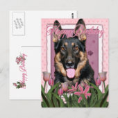 Gelukkige Verjaardag - Duitse Herder - Kuno Briefkaart (Voorkant / Achterkant)