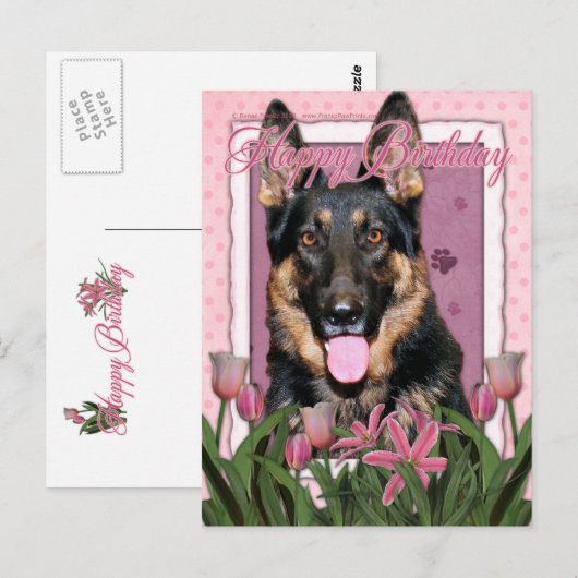 Gelukkige Verjaardag - Duitse Herder - Kuno Briefkaart (Voorkant / Achterkant)