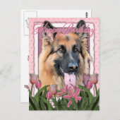 Gelukkige verjaardag - Duitse herder - langharig Briefkaart (Voorkant / Achterkant)