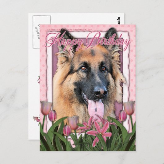 Gelukkige verjaardag - Duitse herder - langharig Briefkaart (Voorkant / Achterkant)