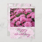 Gelukkige Verjaardag - Een Zee van Roze Chrysanten Briefkaart (Voorkant / Achterkant)