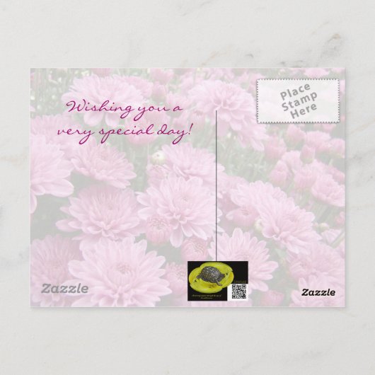 Gelukkige Verjaardag - Een Zee van Roze Chrysanten Briefkaart (Achterkant)