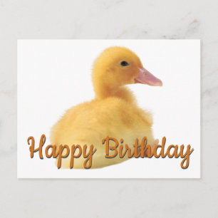 Gelukkige verjaardag eendje briefkaart