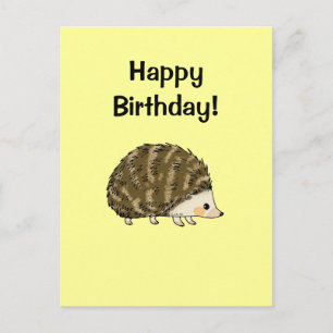 Gelukkige verjaardag! (egel) briefkaart