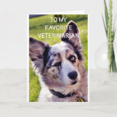 GELUKKIGE VERJAARDAG **FAVORIETE DIERENARTS** KAART (Voorkant)