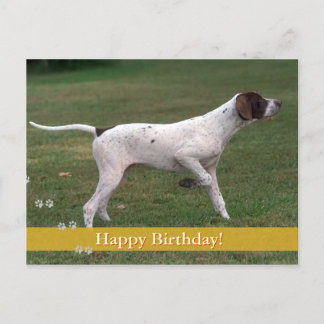 Gelukkige verjaardag! | Fotohond Briefkaart