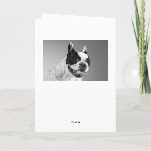 Gelukkige Verjaardag Franse Bulldog Puppy Kaart -  (Achterkant)