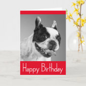 Gelukkige Verjaardag Franse Bulldog Puppy Kaart -  (Gele Bloem)