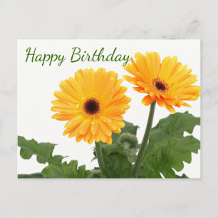 Gelukkige Verjaardag Gerbera Daisy Sinaasappel Gro Briefkaart