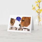 ***GELUKKIGE VERJAARDAG*** GEWOON IN HOESJE VERGET KAART (Gele Bloem)